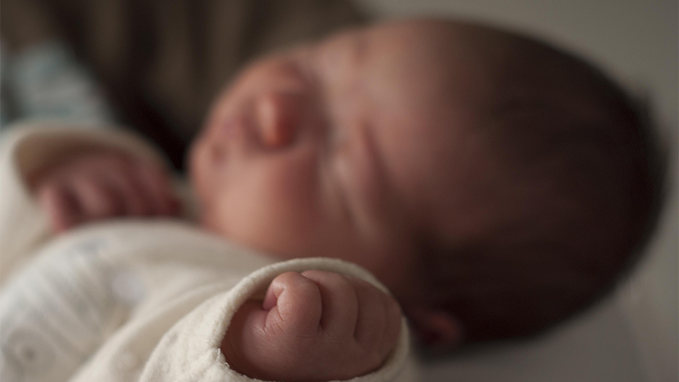 Pro-Life Conscience Act Graphic