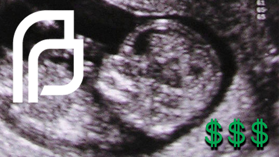 pp-emails-graphic