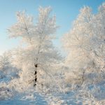 thumbnail of ” …except for the winters”